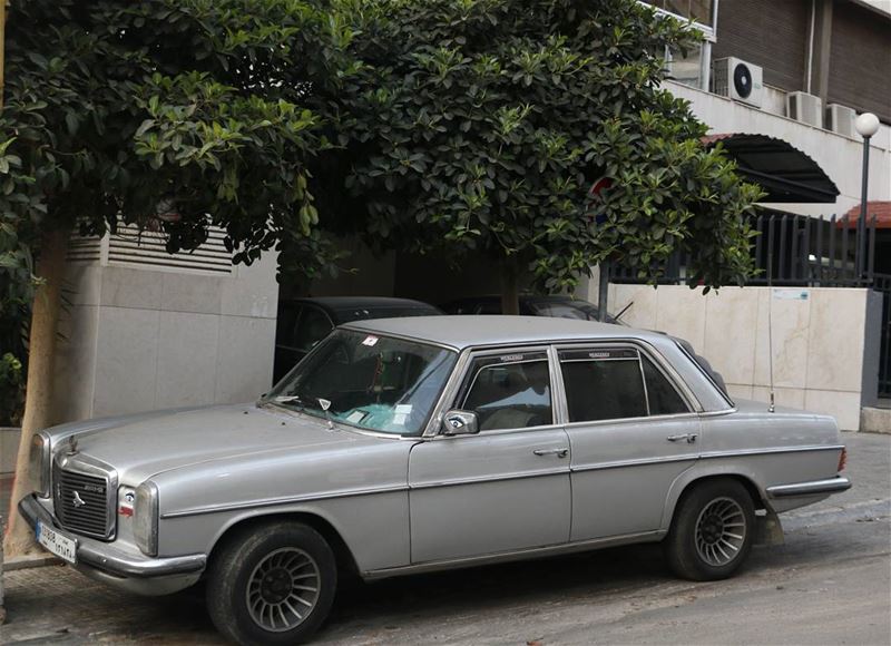 50 shades of Grey... One of them is this handsome boy:)  vintage  cars ... (Beirut, Lebanon)