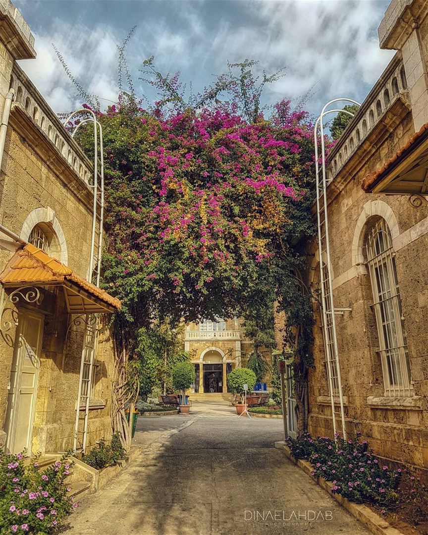 🌹🌸____________ 961lens  usjliban  architecture  archilovers ... (Université Saint-Joseph de Beyrouth - USJ)