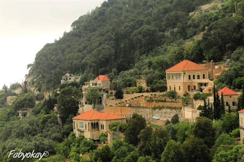 _____________________________________________ afternoon lebanonhouses... (Dlebta, Mont-Liban, Lebanon)