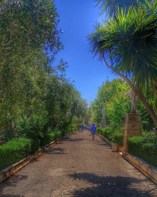 A beautiful walk in miziara 💚💙💜💛▪▪▪▪▪▪▪▪▪▪▪▪▪▪▪▪▪▪▪▪▪ ptk_lebanon ... (Miziâra, Liban-Nord, Lebanon)