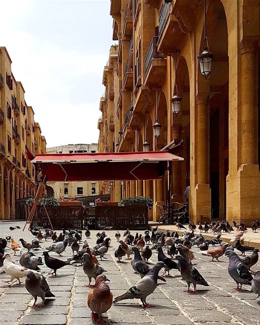 ... A busload of tourists in downtown Beirut 🦅 😄------.. Lebanon_HDR... (Downtown Beirut)