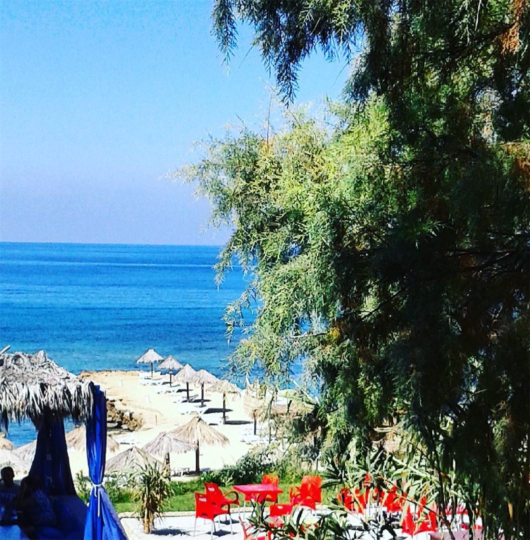 A day to relax.... 🌴❤🌴 relax  beach  beautifullebanon  ocean  lebanon ...