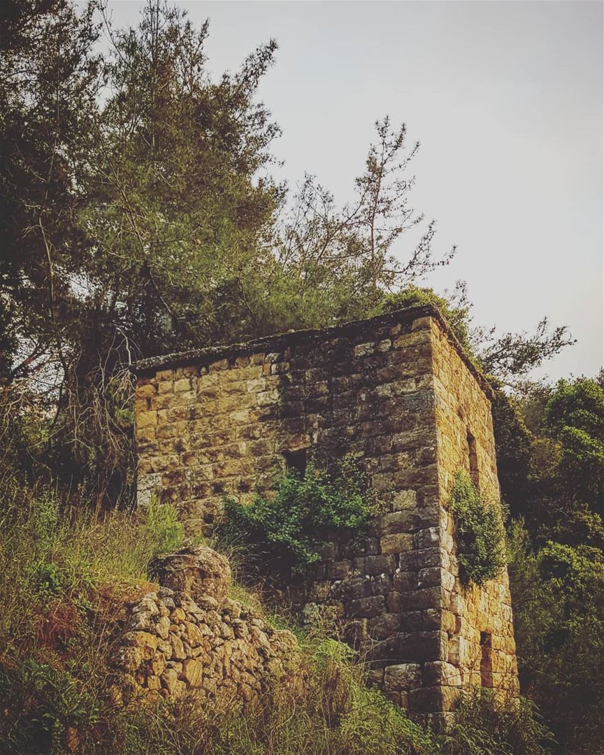 A  day well spent . lebanon  fun  old  architecture  photography  nature ...