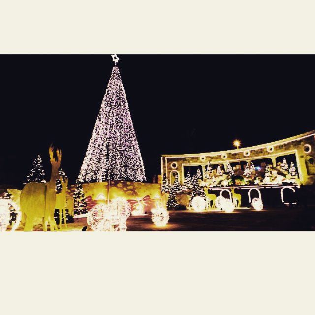 A December to remember ♥ stephanie  byme  funtimes  christmas  jesus ...