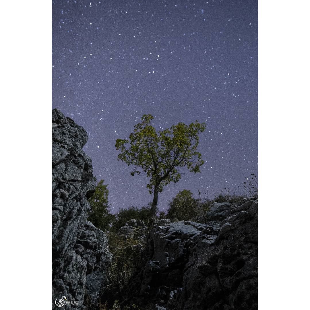 A favourite photo of mine solotree  nightphotography  nighttime ...