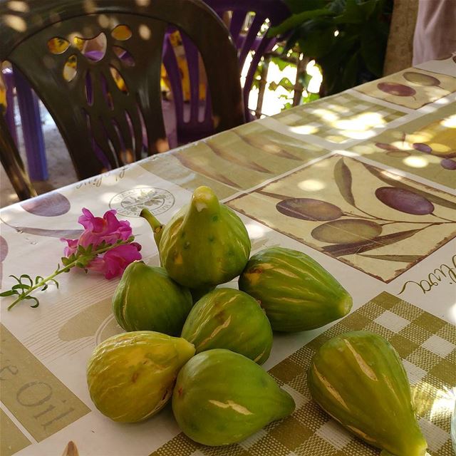 A few figs from a nearby tree.  figs  figtree  Lebanon  chouf  pickyourown... (Kfar2atra Chouf)