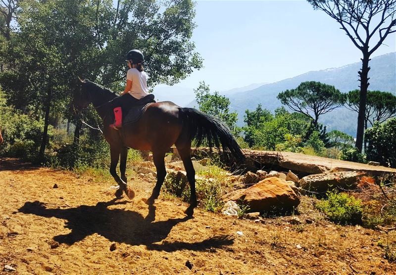 A free spirit💖💗💖💗  horses  horsebackriding  equestrian  sport  nature ... (Beit Meri, Mont-Liban, Lebanon)