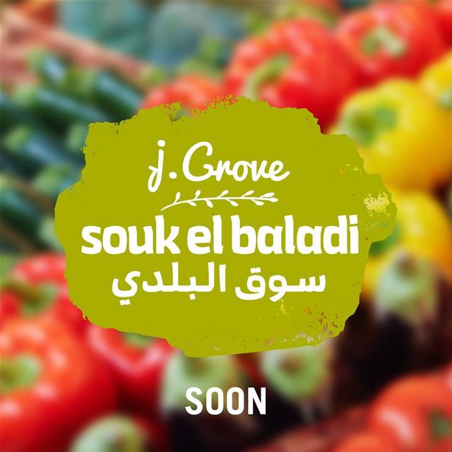 A full Southern Lebanese experience. All in one new farmers’ market....