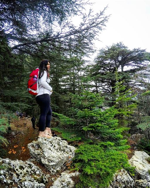 A  Girl With  Power Like  Cedars 🙆🌲 outventuregirls  hikergirl ... (Ehden Natural Reserve)