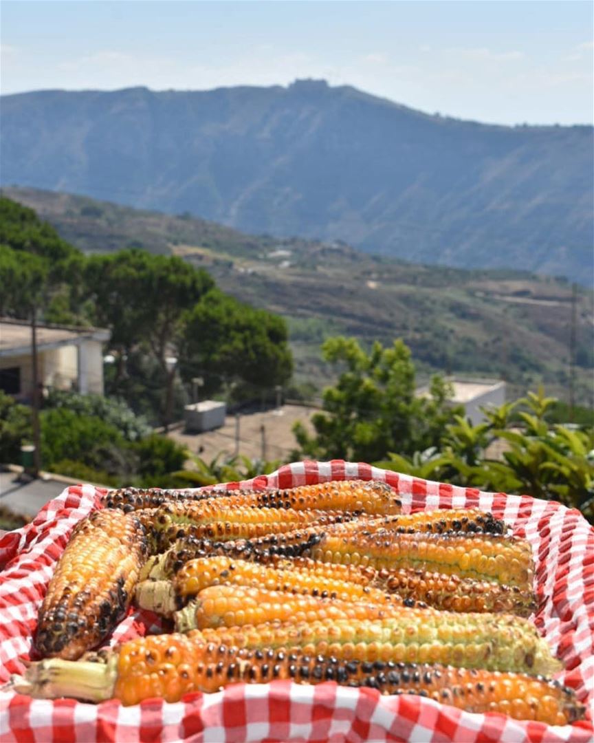 A light wind swept over the corn,And all nature laughed in the sunshine -... (El Qlaïaâ, Al Janub, Lebanon)