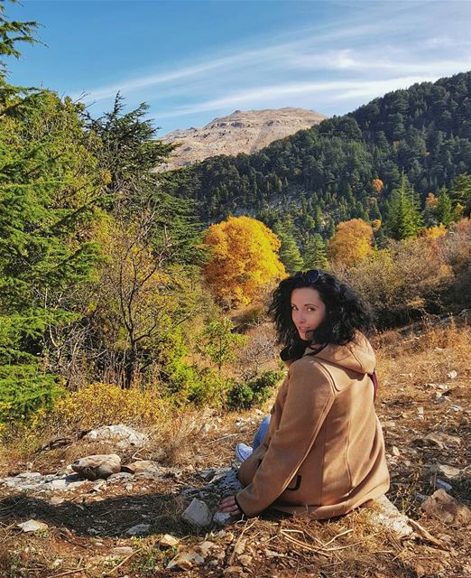 A little refreshing throwback to golden autumn in Lebanese mountains 🍁У М (Horsh Ehden)