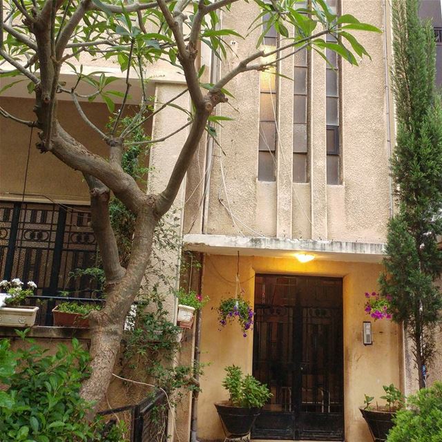 A long paved entrance leading to an iron gate flanked by potted plants.... (Beirut, Lebanon)
