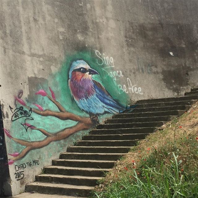 A lovely spring themed mural on the Jounieh highway signed chathemad2015... (Joünié)