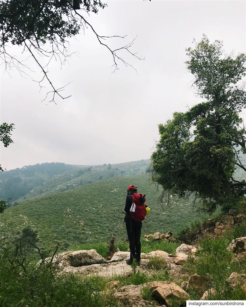 A Midsummer Day’s Dream.  Lebanon  hiking..... getoutside ...