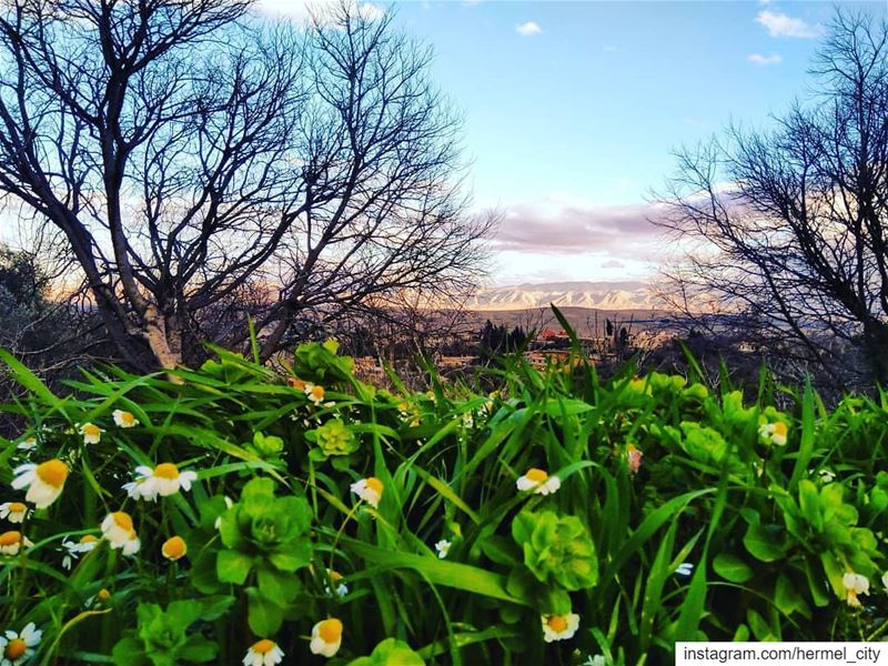 A mix of  spring &  Winter by @firassafwan hermel  hermel_city  bekaa ...