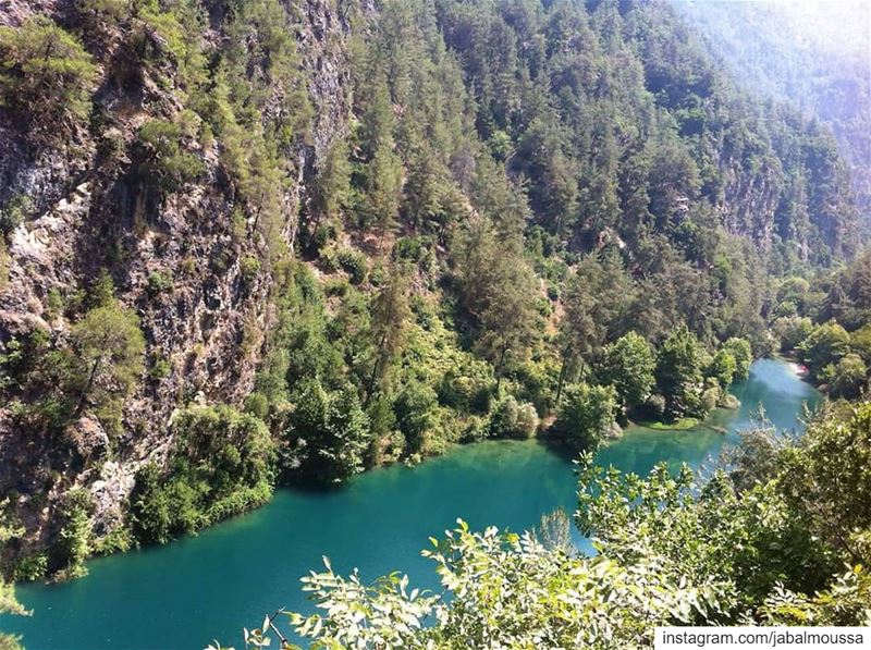 A perfect view of Adonis River. JabalMoussa (Due to the maintenance of... (Jabal Moussa Biosphere Reserve)