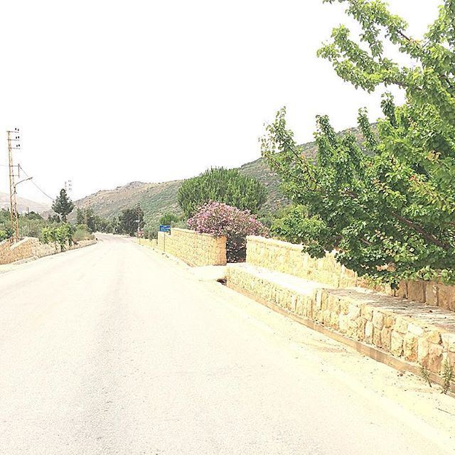 A road full of beauty ..🌳 (Aishiye)
