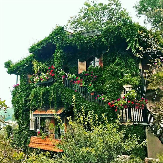 A simple thing of beauty is a joy forever 🏡💚---------------------------- (Mayruba, Mont-Liban, Lebanon)