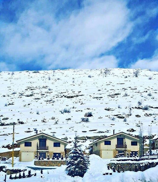 A snowball in the face is surely the perfect beginning to a lasting... (Faraya, Mont-Liban, Lebanon)