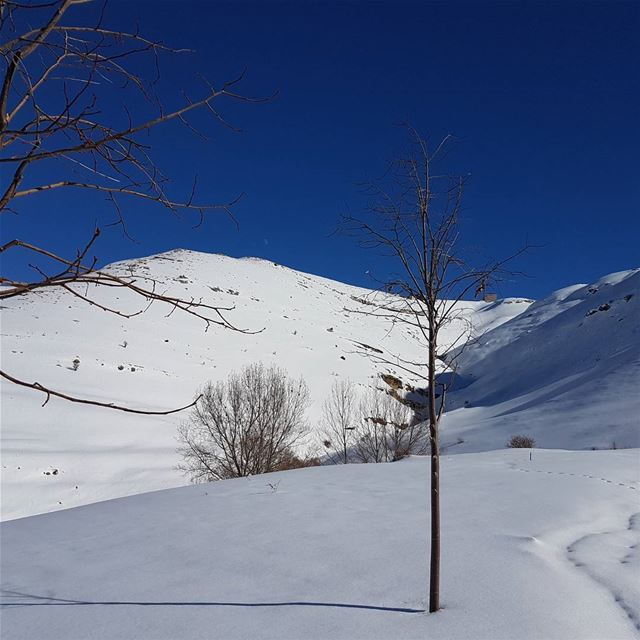 A sunny day at the mountain ☃ goodmorning  snowing  landscape ... (Faraya, Mont-Liban, Lebanon)
