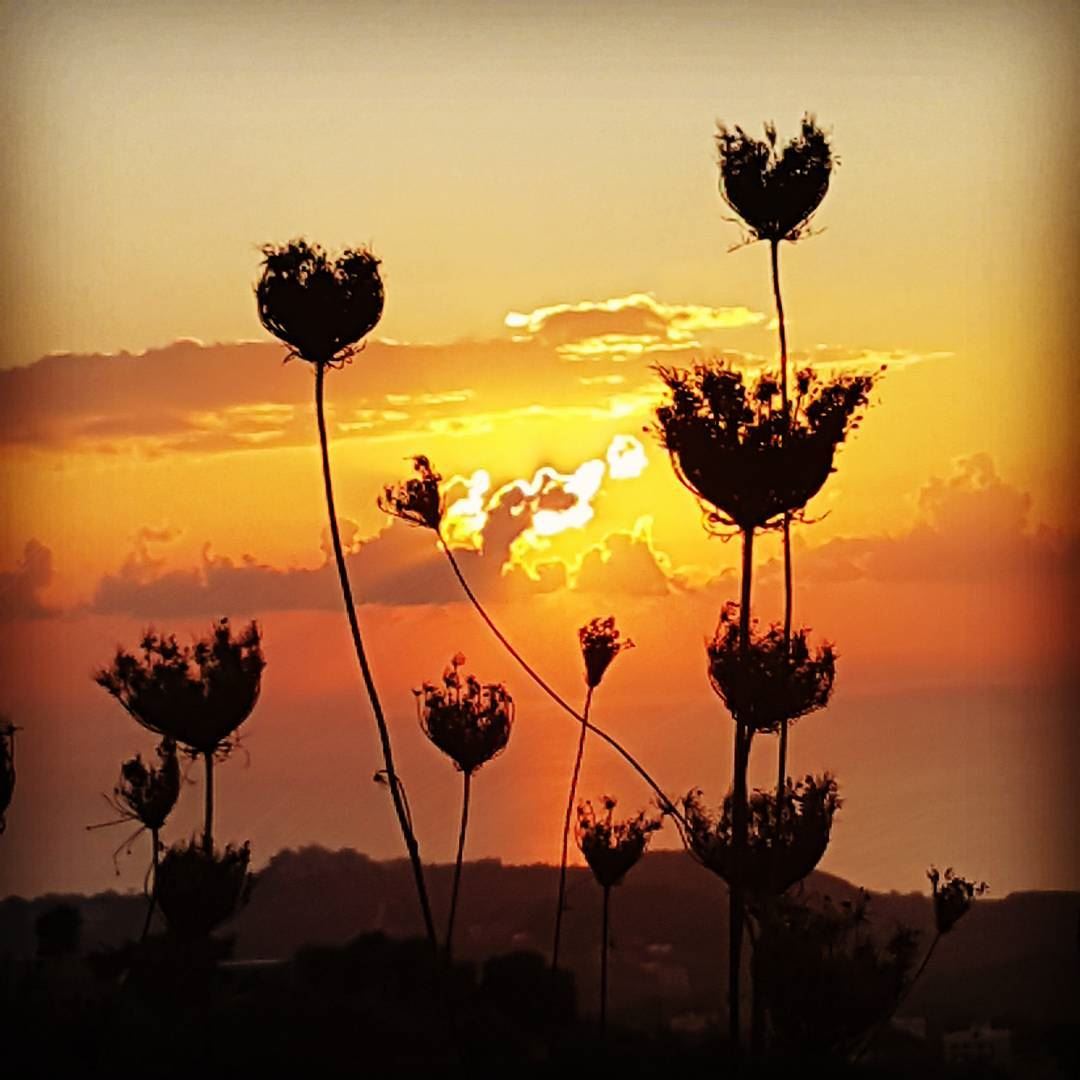 A sunset on the hills of Bkechtine ! tourleb  tourlebanon  lebanon ... (Bkechtîne, Mont-Liban, Lebanon)