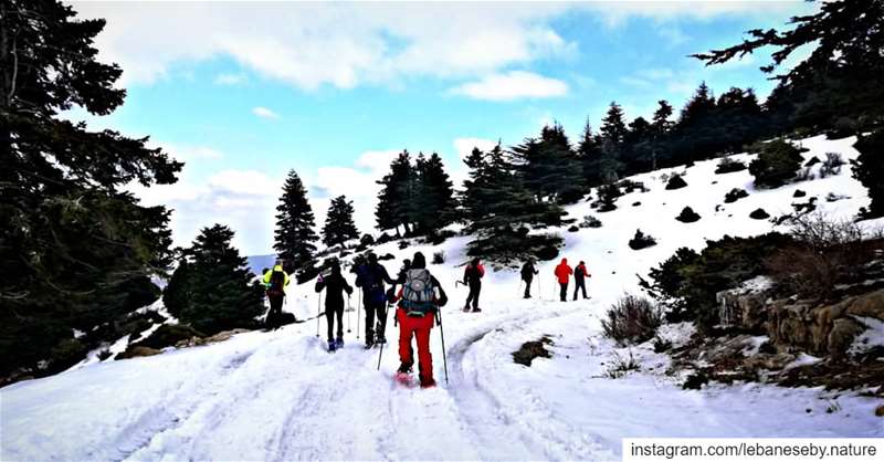 A typical  winter  hike.. akkar  kobayat  snowshoeing  winteractivity ... (محمية كرم شباط)