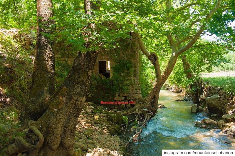 A watermill almost onto the river. It channels the water from a higher... (Nahr el Jaouz)