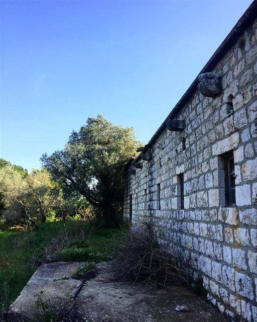 Abandoned place 🌳  house  convent  abandoned  abandonedplaces  blue  sky ... (Mar Chaaya Broumana)