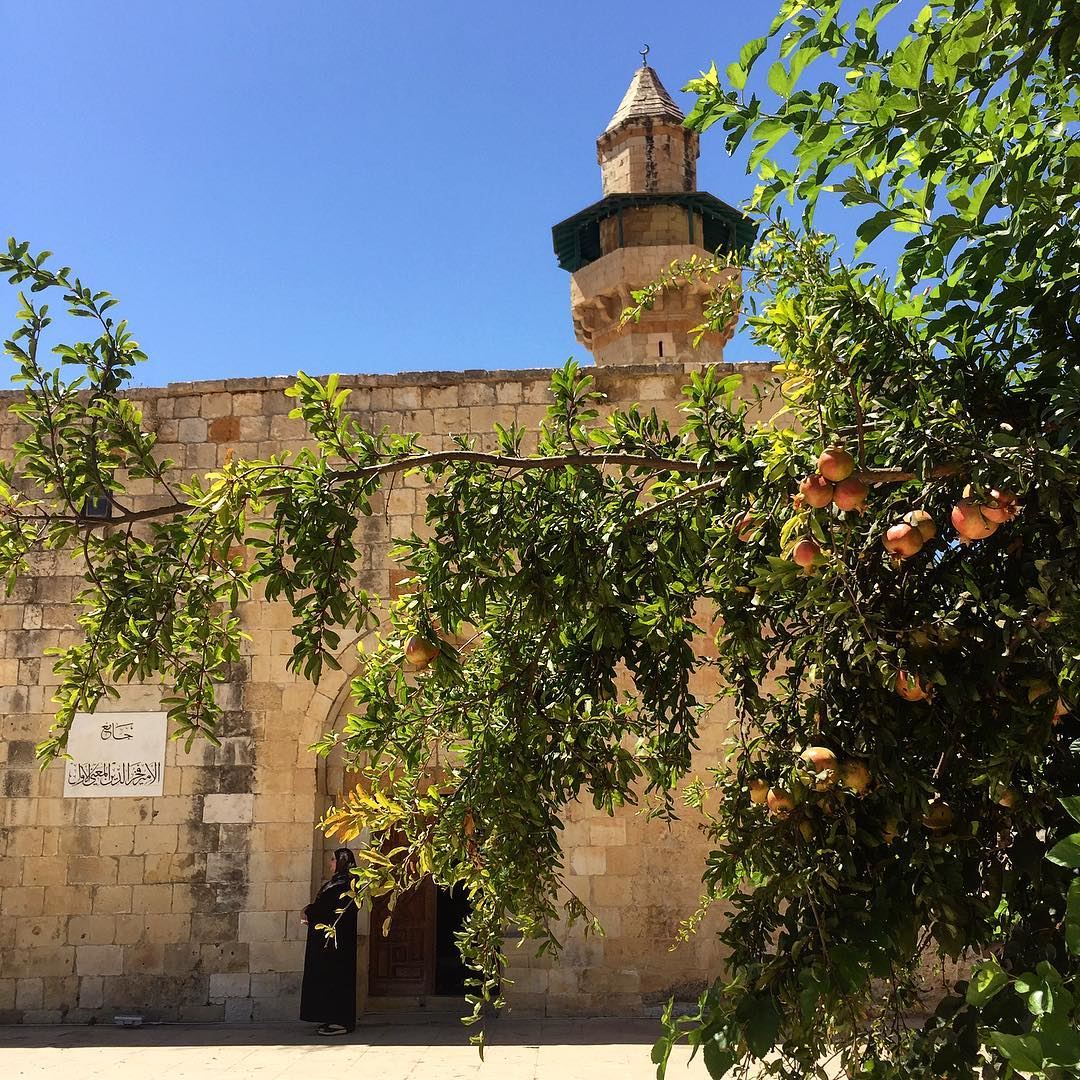 About faith and pomegranates...  chouf  darelqamar  livelivechouf  liban ... (Deir el Qamar Synagogue)