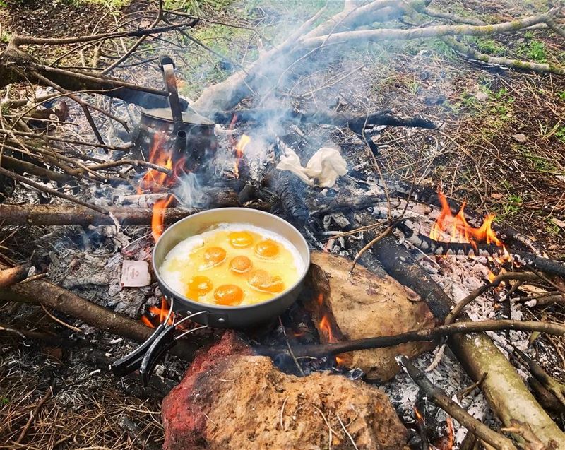 About Sunday morning, organic eggs with tea in the 🏕!.......... (Lebanon)