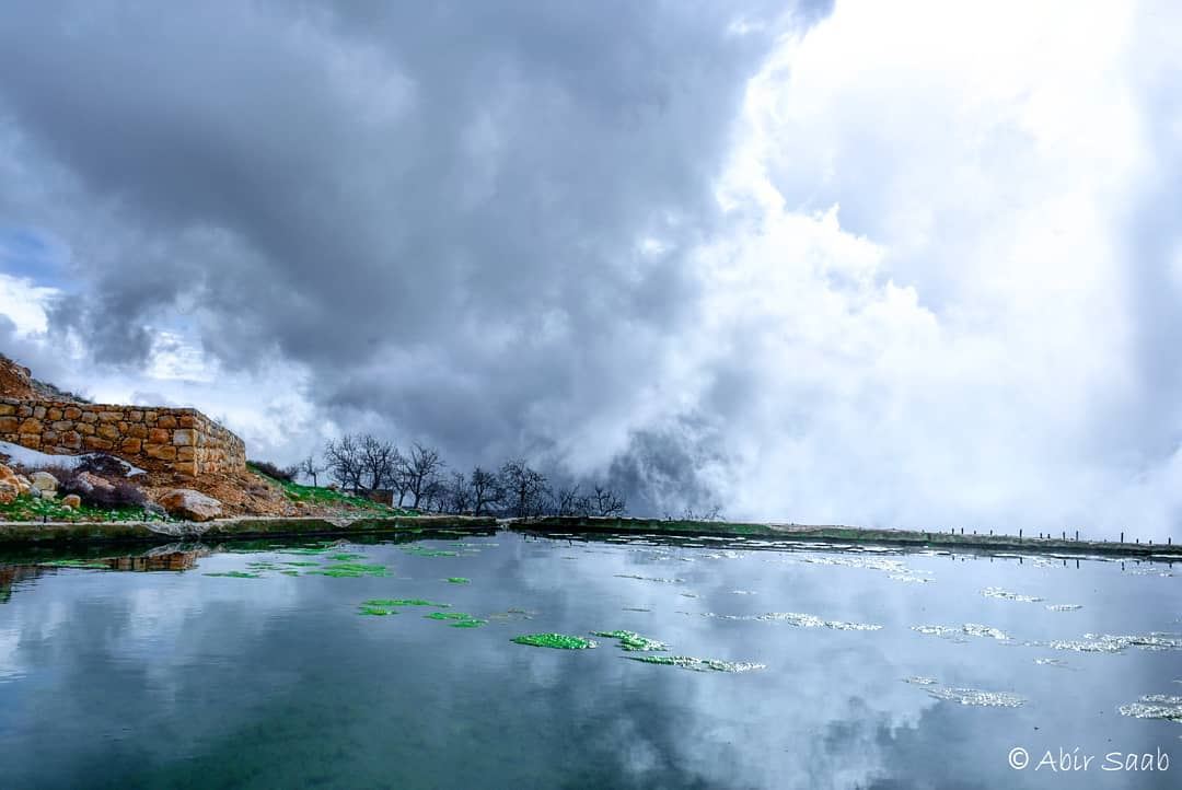 Admire the way colors look different in such a gloomy  day.. Different... (Baskinta, Lebanon)