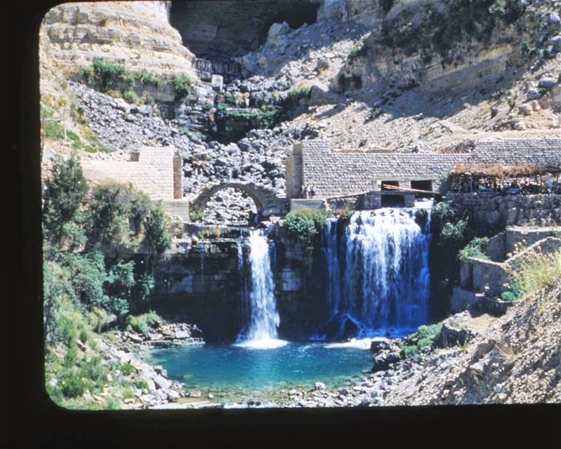 Afqa Waterfall 1953