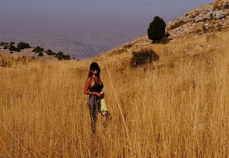 Africa or Faraya👣🦒🐆 hiking hikerlife hotweather  africannature  faraya ... (Faraya, Mont-Liban, Lebanon)