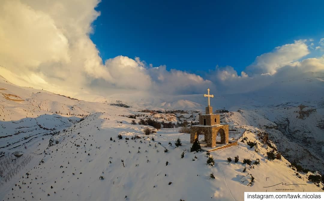 After the storm everything looks spectacular.This picture was taken last... (The Cedars of Lebanon)