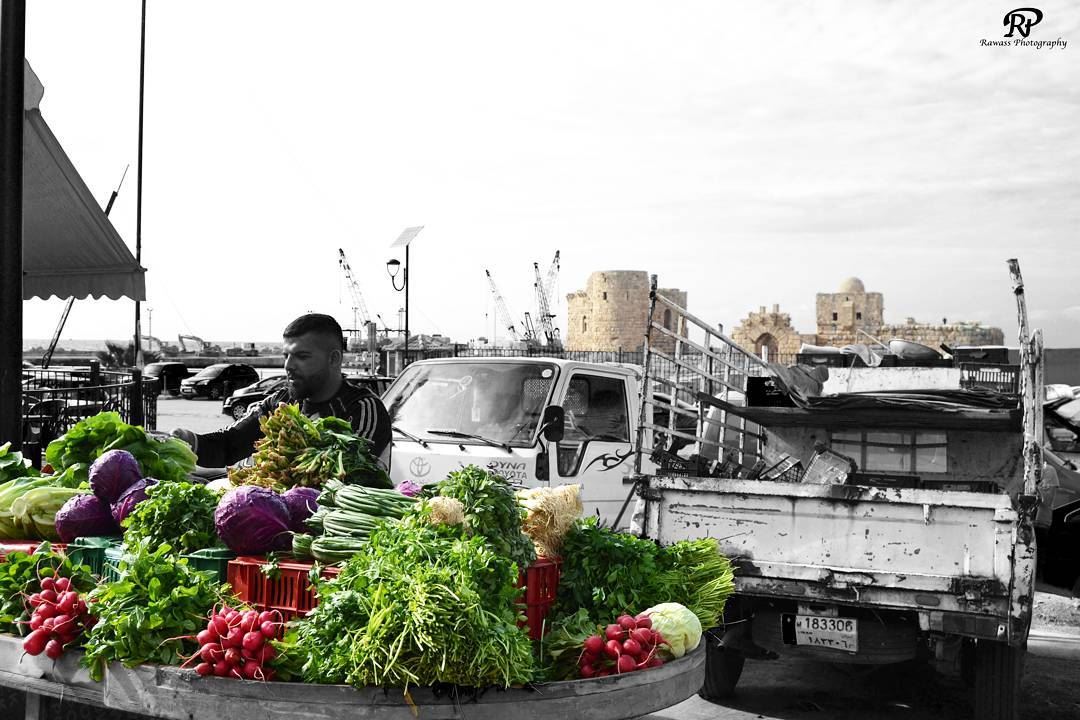 " After visiting the Castle , you can get your fresh vegetables from this... (Saïda, Al Janub, Lebanon)