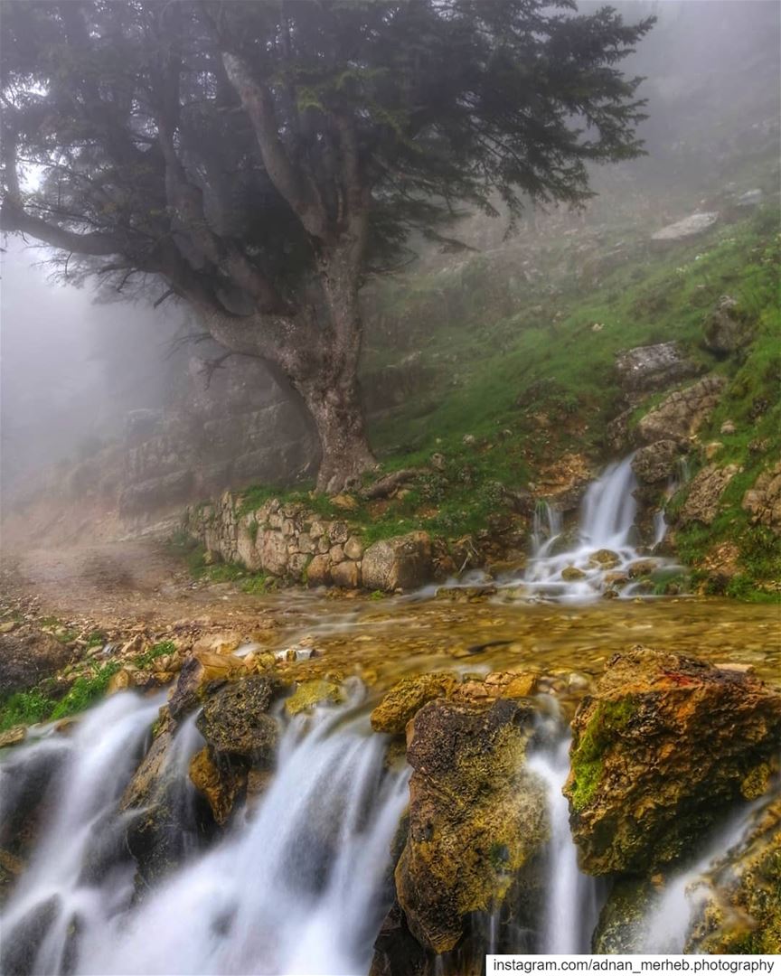 Akkar❤️😍  nature  photography  naturephotography  travel  love  landscape... (`Akkar Al `Atiqah, Liban-Nord, Lebanon)