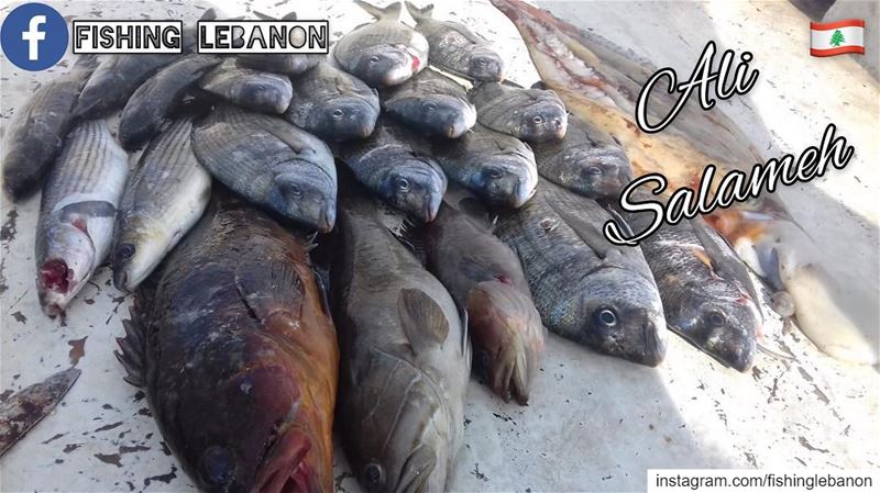 Ali Salameh & @fishinglebanon - @instagramfishing @jiggingworld @whatsupleb (Beirut, Lebanon)