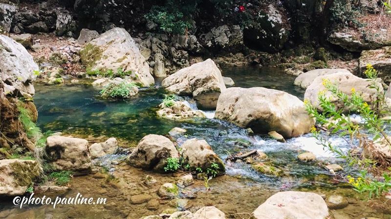 All good things are wild and free.. 🏞💚  follow  nature  wild  free ... (Nahr Ibrahim, Mont-Liban, Lebanon)