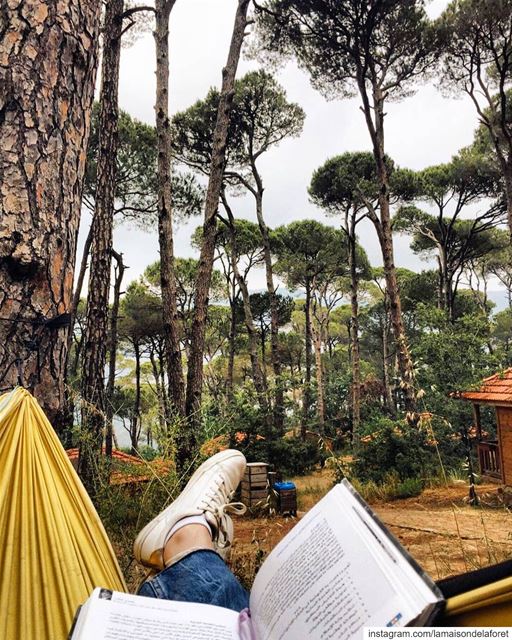 All you need... a hammock, a book and a nice view 🏡🌳💆‍♀️ ⠀⠀⠀⠀⠀⠀⠀⠀⠀⠀⠀⠀ ⠀⠀