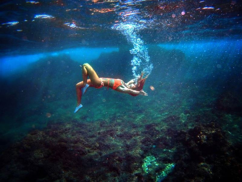 Aloha.. photography  photographylovers  underwaterphotography ...