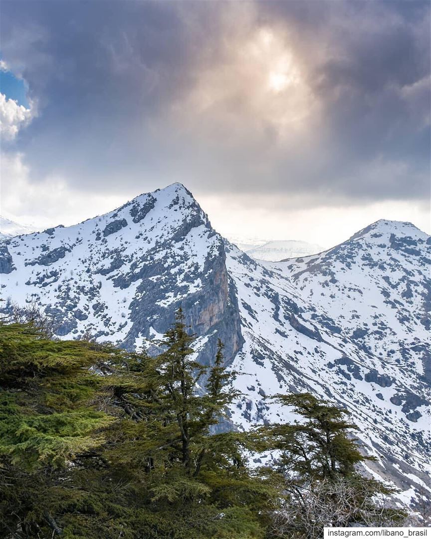 🇱🇧🇧🇷 Alpes libaneses pelas lentes do @alexander_photography97. ⠀⠀⠀⠀⠀⠀⠀⠀ (Arz Tannoûrîne)