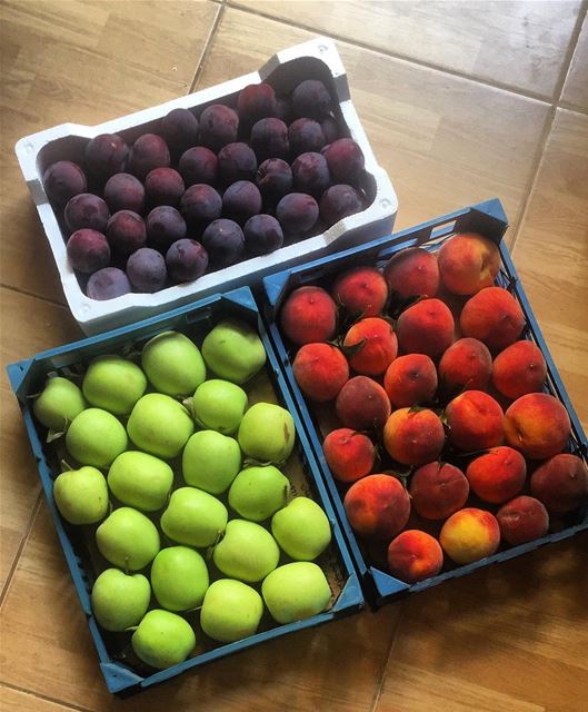 Amazing colors 🌈 lebanonfruits  colorfull ❤️🌲❤️ beautiful  lebanon ...