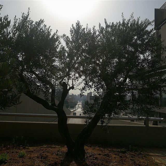 💕Amazing morning Beirut 🇱🇧 onlyonelebanon  super_lebanon  lebanon ... (Hazmie, Mont-Liban, Lebanon)