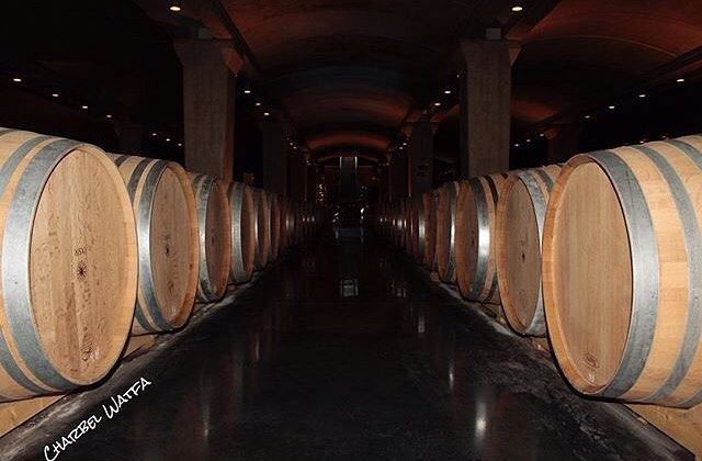 Amazing view of  ixir  winery  batroun Photo by @charbel.watfa Share the... (Ixir Winery)