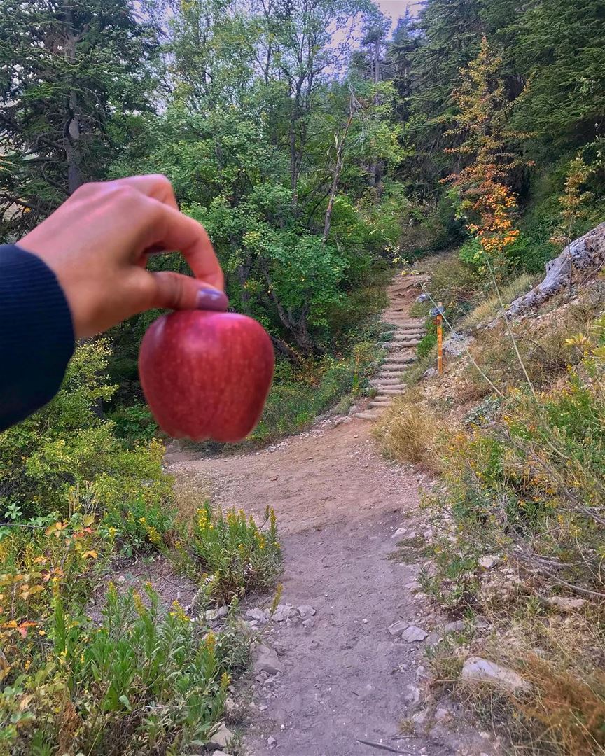 An apple a day will keep anyone away, if thrown hard enough🤷🏻‍♀️ ... (Horsh Ehden)