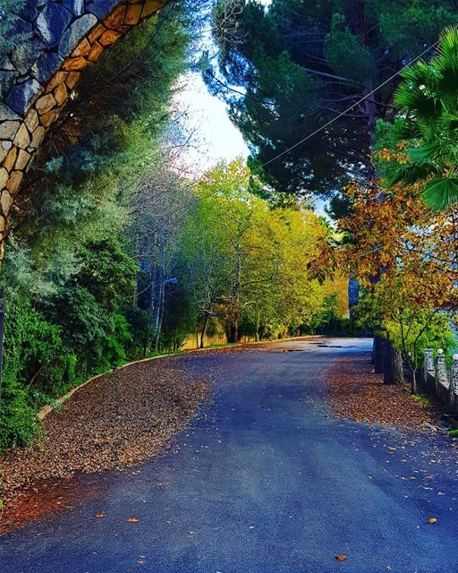 An autumn's path 😍😍😍Photo taken by @joechallitacouture  BeitChlela ... (Beit Chléla, Liban-Nord, Lebanon)