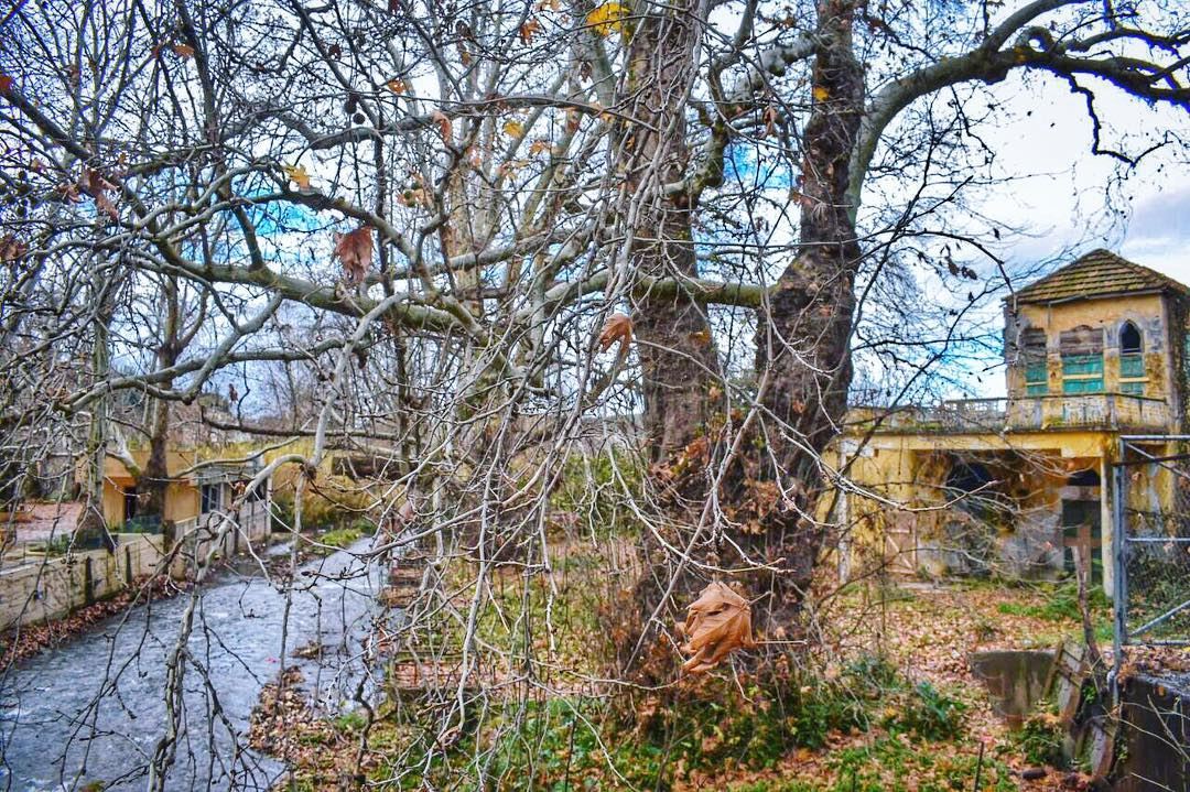 An Old house by the River 🍂🏡Where Memories flow Forever 💚... (Zgharta)
