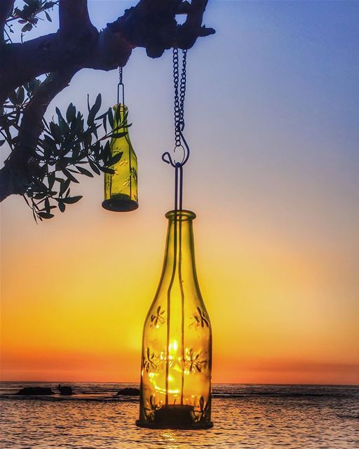 An olive branch holding sunset in a bottle 🌿🌅🌿 like a candle 🙏 like a... (Byblos, Lebanon)