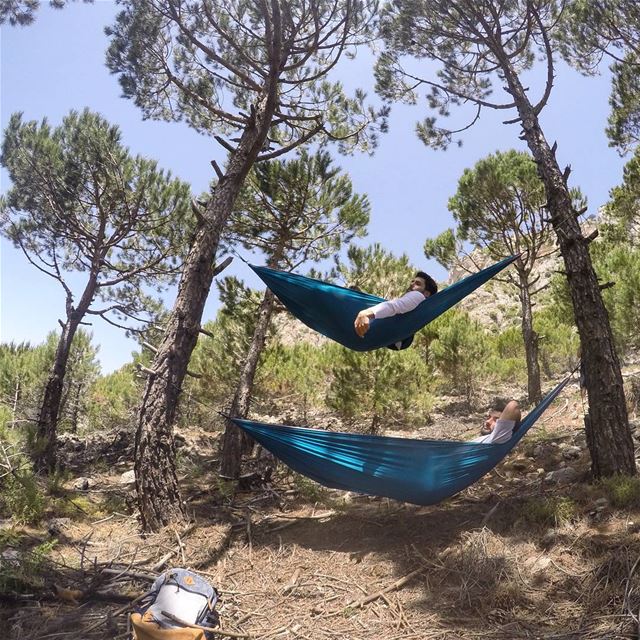 An optimist is a man who plants two acorns and buys a hammock.  tannourine... (Tannourine)
