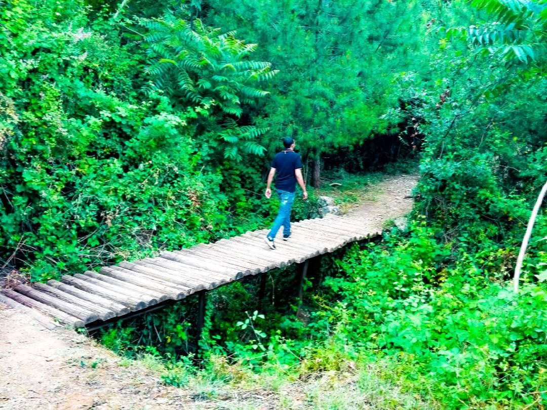 And into the forest I go, to lose my mind and find my soul. bridge... (Haret Sakhr, Mont-Liban, Lebanon)